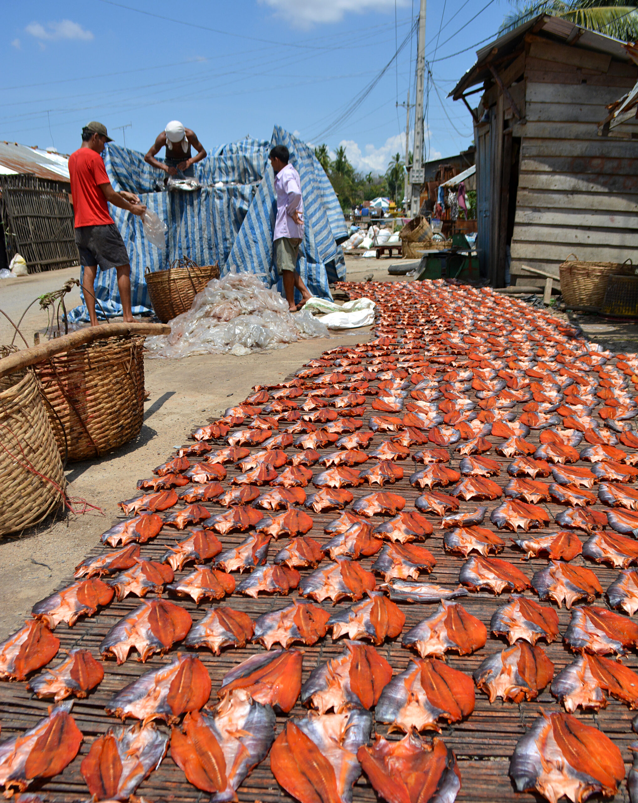 Street Photo Battambang